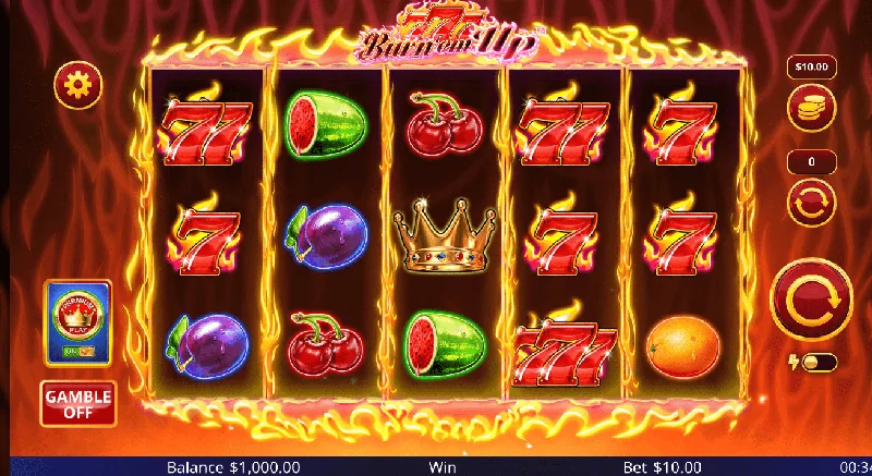 777 Burn 'Em Up Screenshot