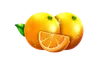 Basket Bounty Orangen-Symbol