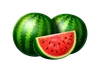 Basket Bounty Wassermelonen-Symbol